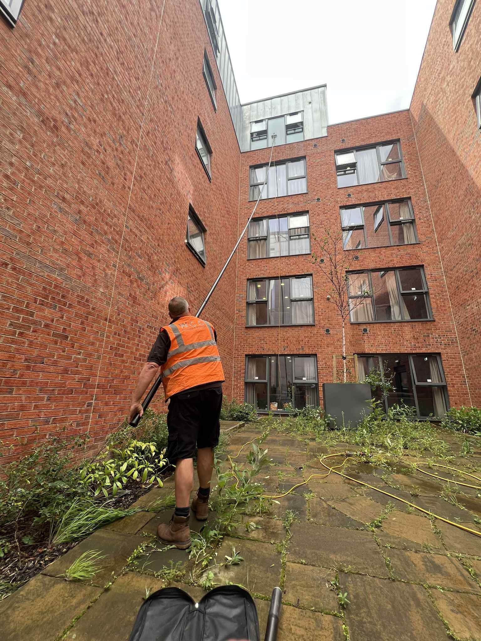 Water Fed Pole Window Cleaning Professional